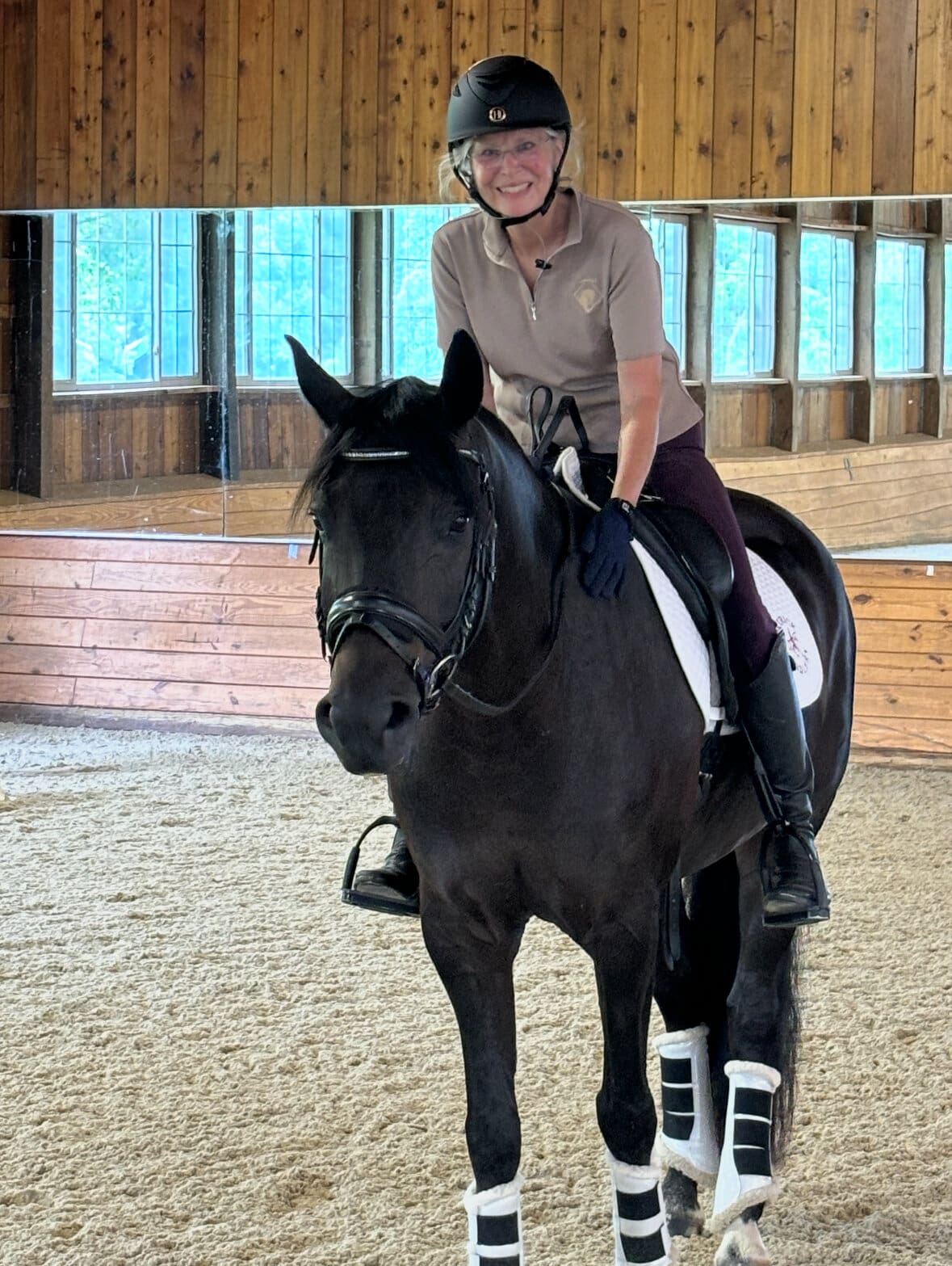 Horse and owner